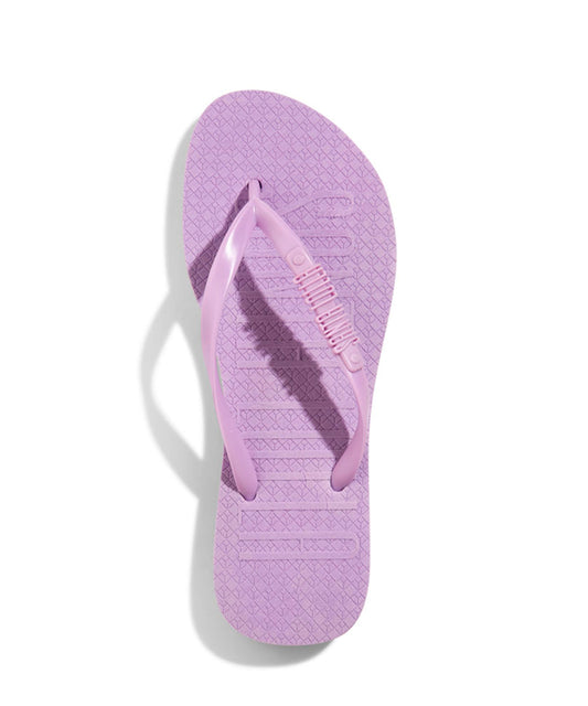 Chinelo Santa Lolla Violeta Borracha