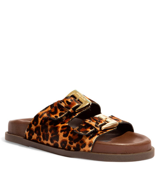 Papete Santa Lolla Animal Print Onça Fivela