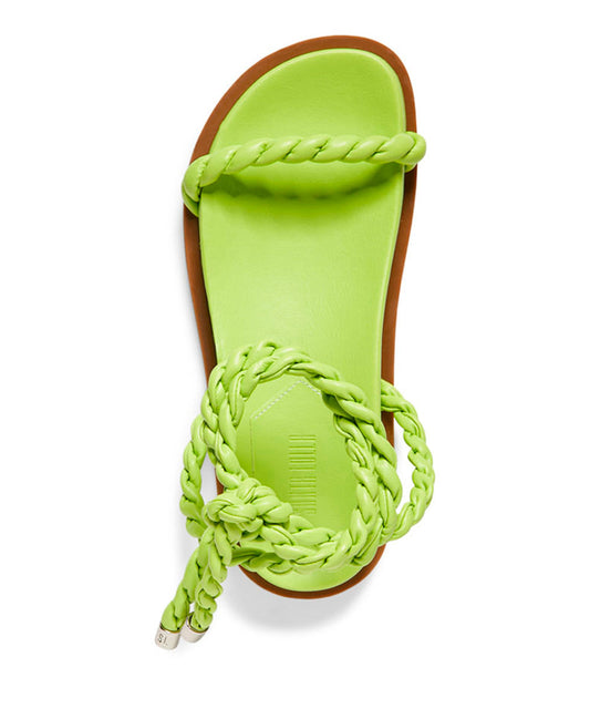 Papete Santa Lolla Lima Amarração