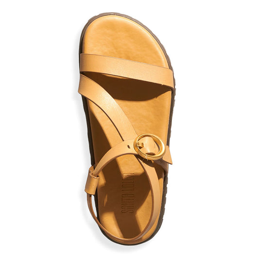 Papete Santa Lolla Marrom Tratorada