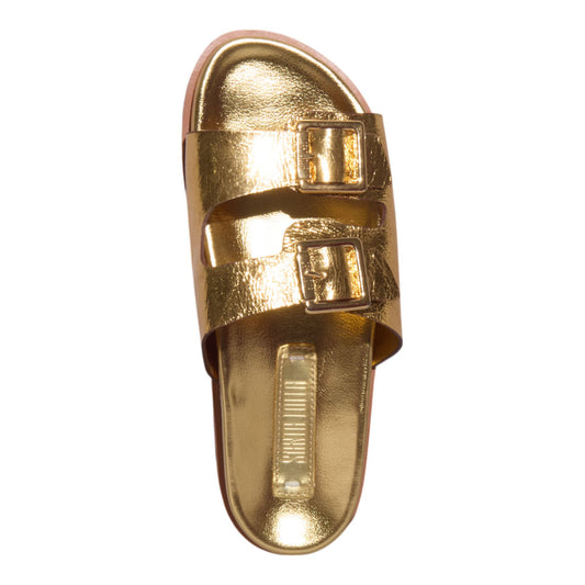 Papete Santa Lolla Dourada Metalizada Fivelas