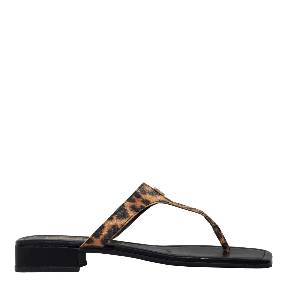 Rasteirinha Degalls Preta Onça Salto Baixo