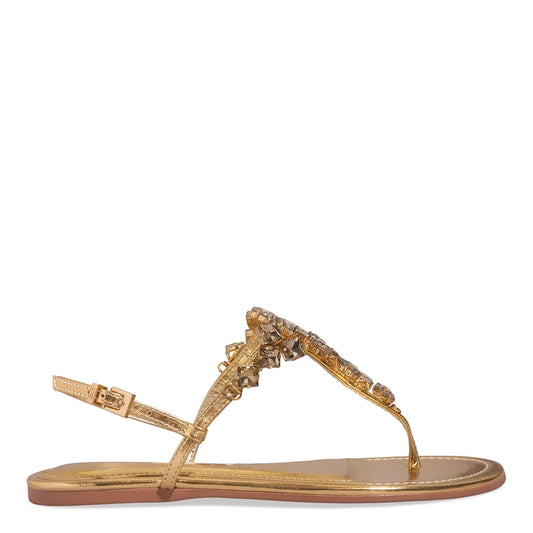 Rasteirinha Santa Lolla Pedraria Dourada Metalizada