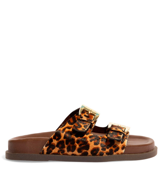 Papete Santa Lolla Animal Print Onça Fivela