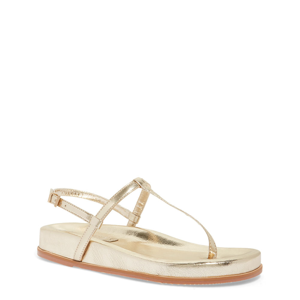 Papete Santa Lolla Metalizada Dourada