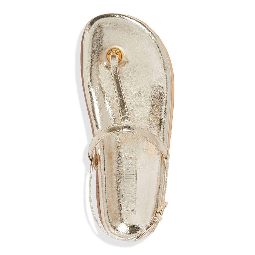 Papete Santa Lolla Metalizada Dourada