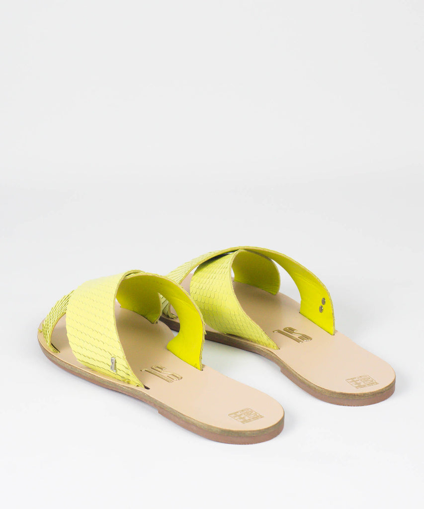 Rasteira Santa Lolla Avocado Mini Snake - 03E4.2897.02CB.02B8