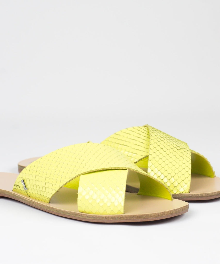 Rasteira Santa Lolla Avocado Mini Snake - 03E4.2897.02CB.02B8