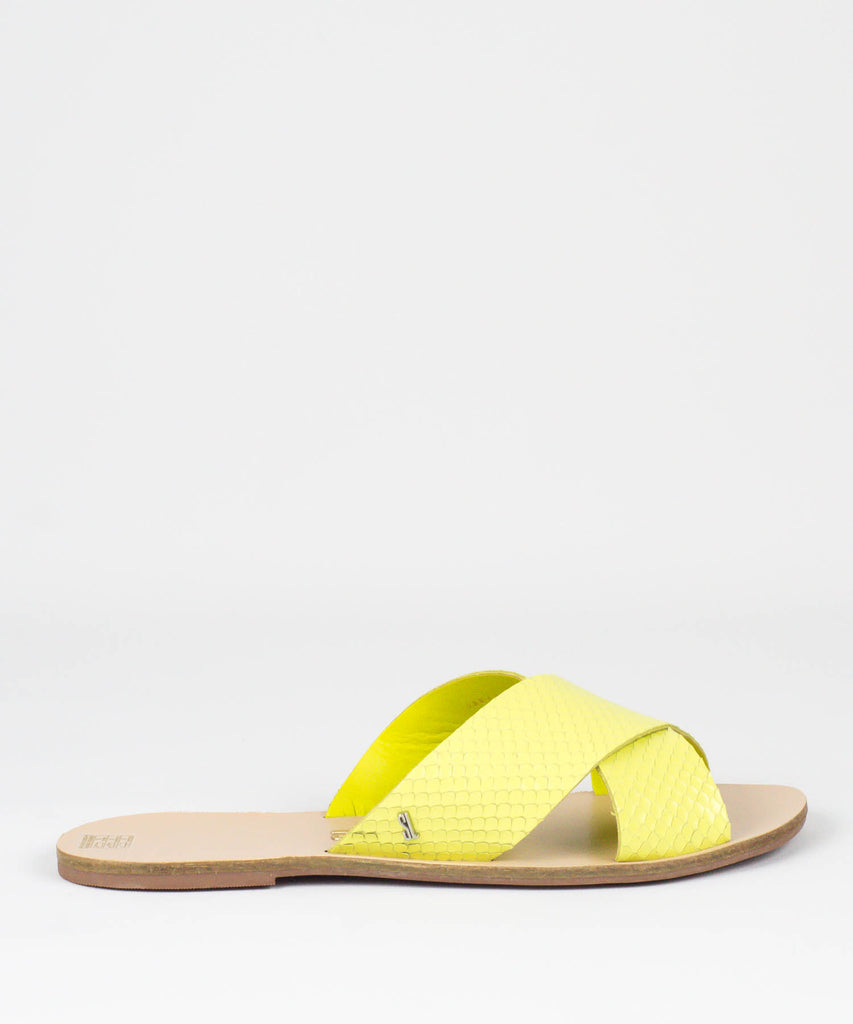 Rasteira Santa Lolla Avocado Mini Snake - 03E4.2897.02CB.02B8