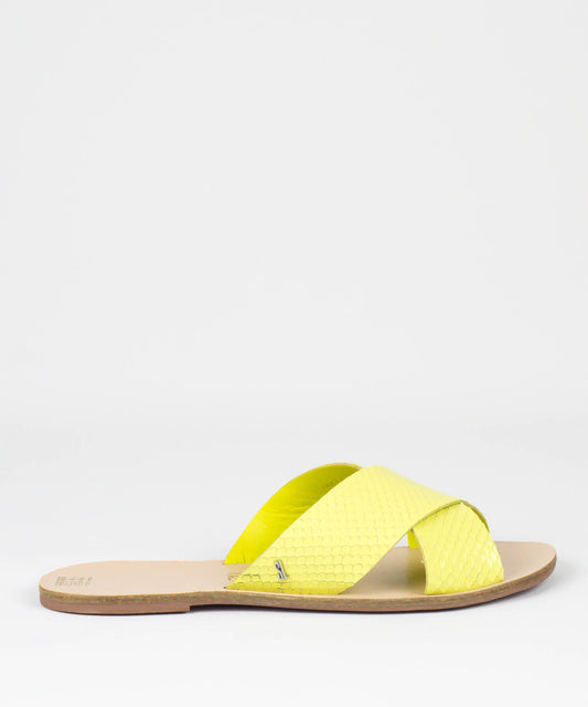 Rasteira Santa Lolla Avocado Mini Snake - 03E4.2897.02CB.02B8