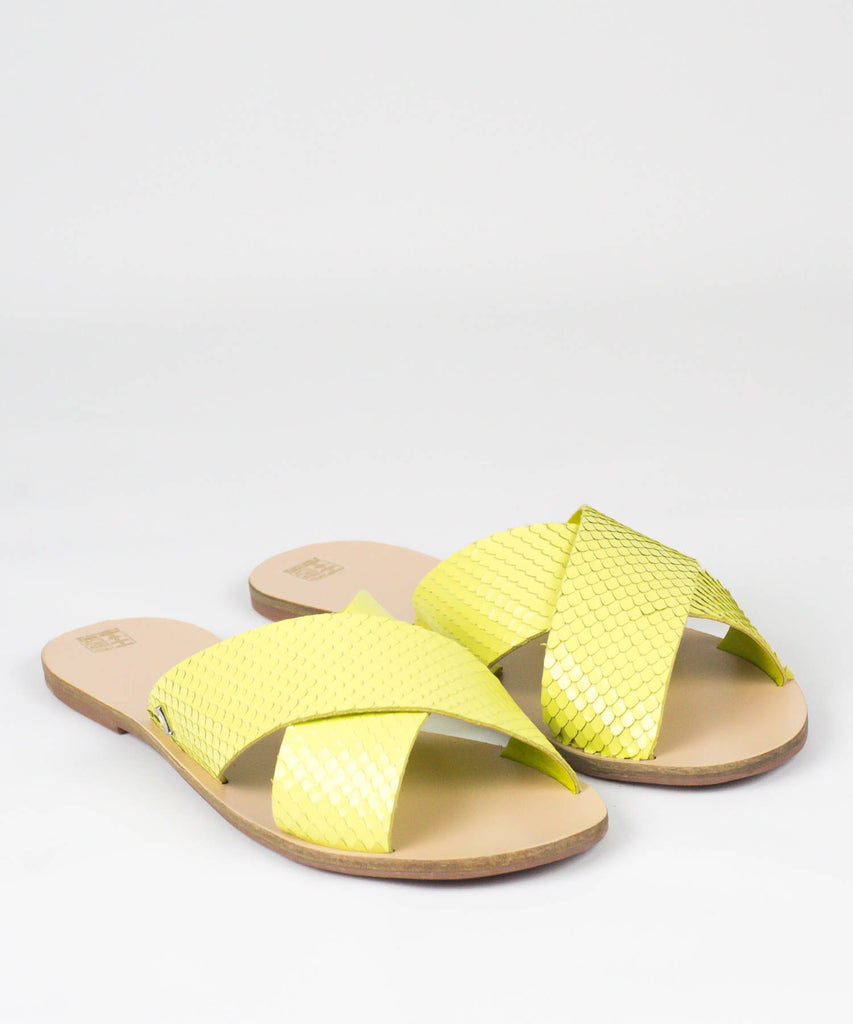 Rasteira Santa Lolla Avocado Mini Snake - 03E4.2897.02CB.02B8