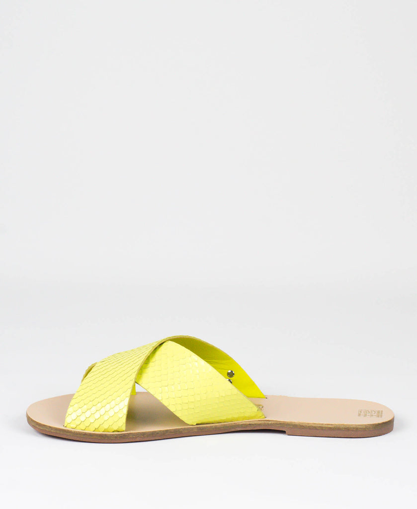 Rasteira Santa Lolla Avocado Mini Snake - 03E4.2897.02CB.02B8