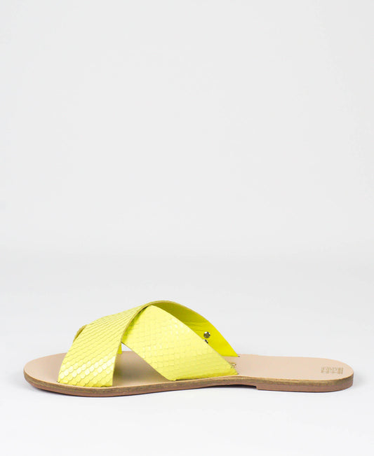 Rasteira Santa Lolla Avocado Mini Snake - 03E4.2897.02CB.02B8