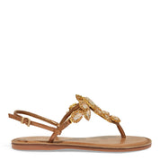 Rasteirinha Pedraria Bronze Santa Lolla Metalizada